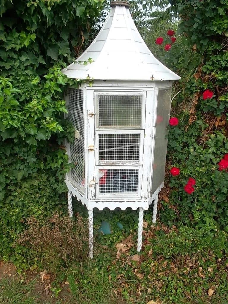 vogelkooi, Animaux & Accessoires, Enlèvement, Cage à oiseaux