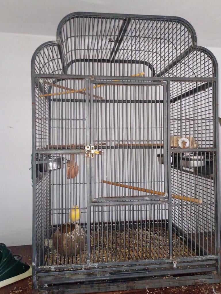 Cage à vendre, Animaux & Accessoires, Enlèvement