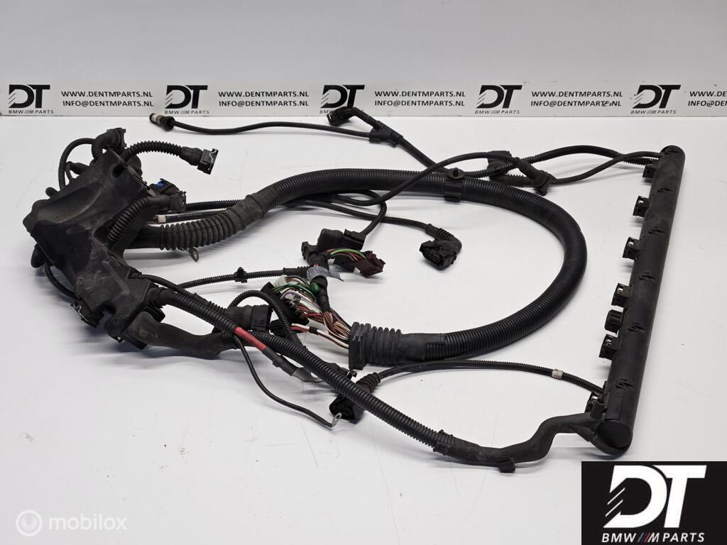 Kabelboom motor BMW Z4M E85 E86 S54 S54B32 MSS70 12517837570, Auto-onderdelen, Gebruikt, Ophalen of Verzenden, BMW, BMW