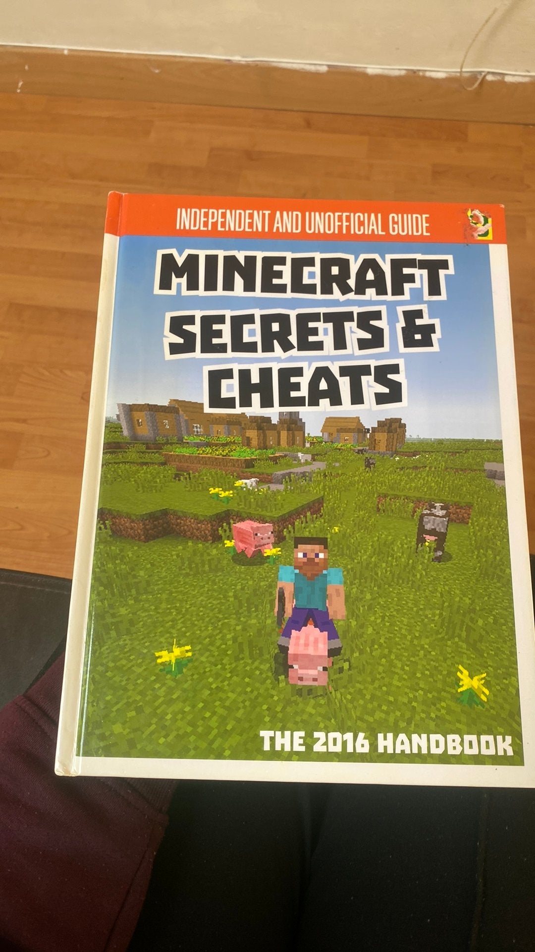 Minecraft secrets, Enfants & Bébés, Enlèvement ou Envoi, Comme neuf, Minecraft