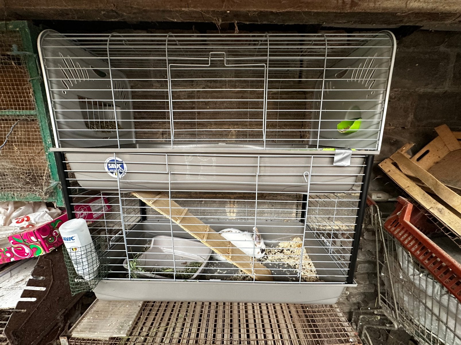 Cage + lapin + accessoires + nourriture — 100 €, Neuf, 75 à 110 cm, Cage, Enlèvement