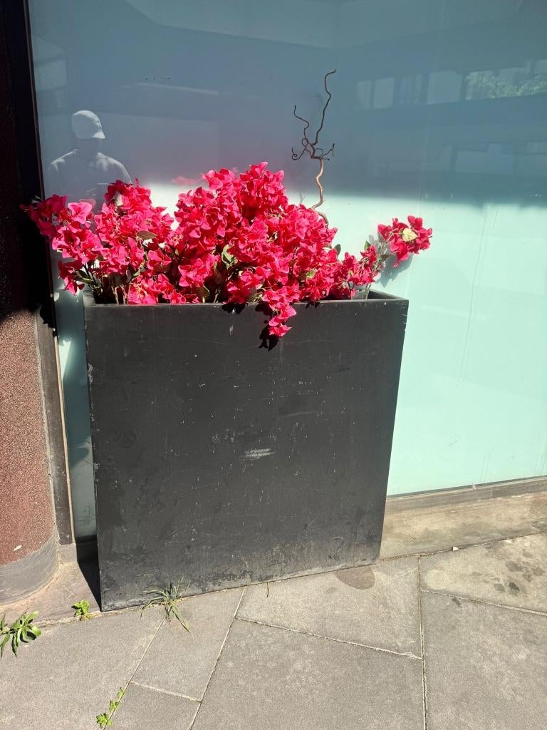 Jardinière noire mate avec de belles fleurs fuchsia, Jardin & Terrasse, Enlèvement, Jardin