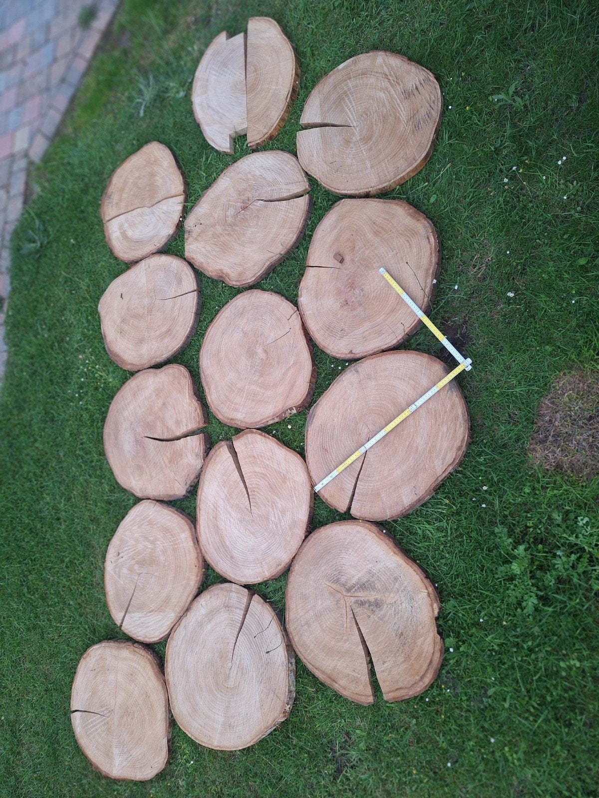Houten schijven decoratie wandversiering, Ophalen