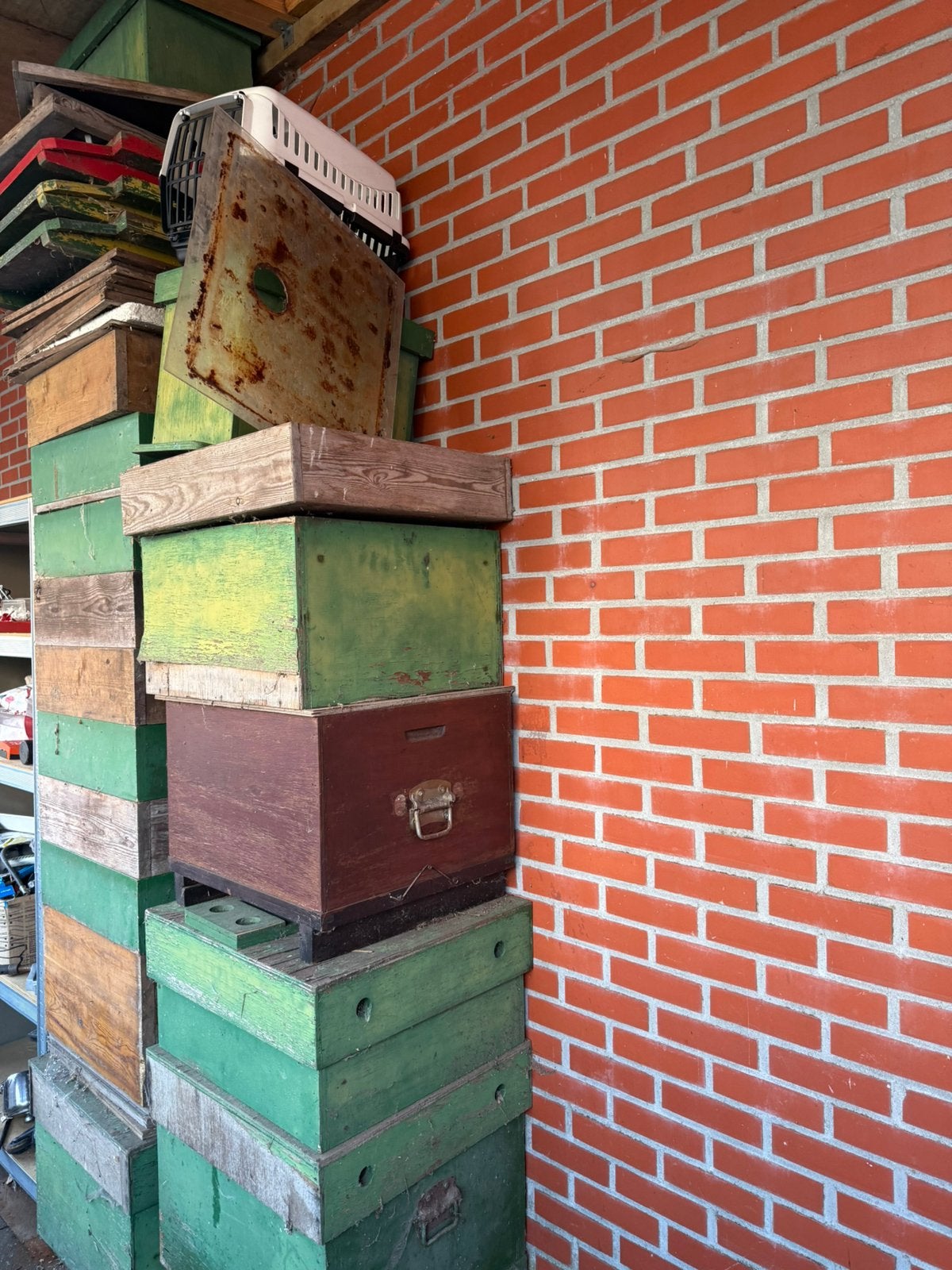 Bijenkasten compleet, Dieren en Toebehoren