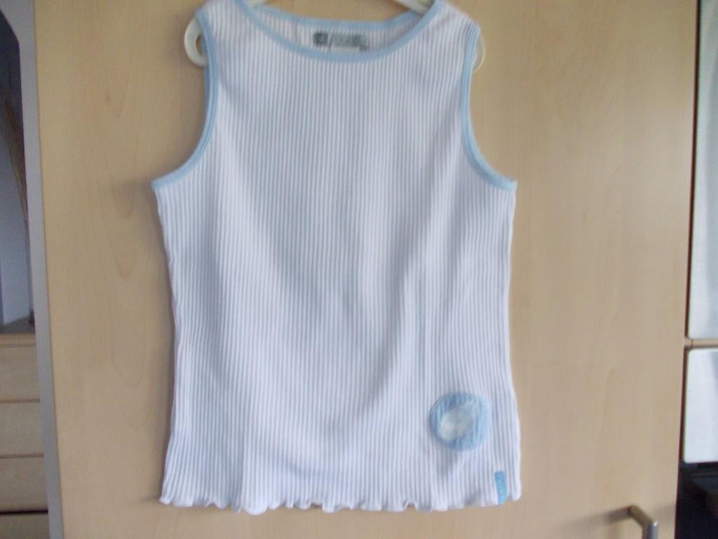 Topjes Decathlon en Anderen. maat 152 en maat 116., Meisje, Ophalen of Verzenden, Zo goed als nieuw, Shirt of Longsleeve