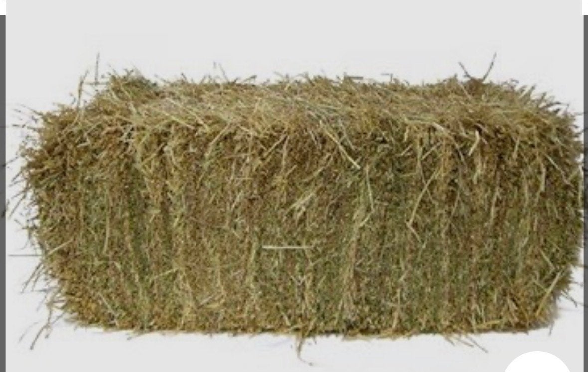 foin en balles, Animaux & Accessoires, Enlèvement, Bétail