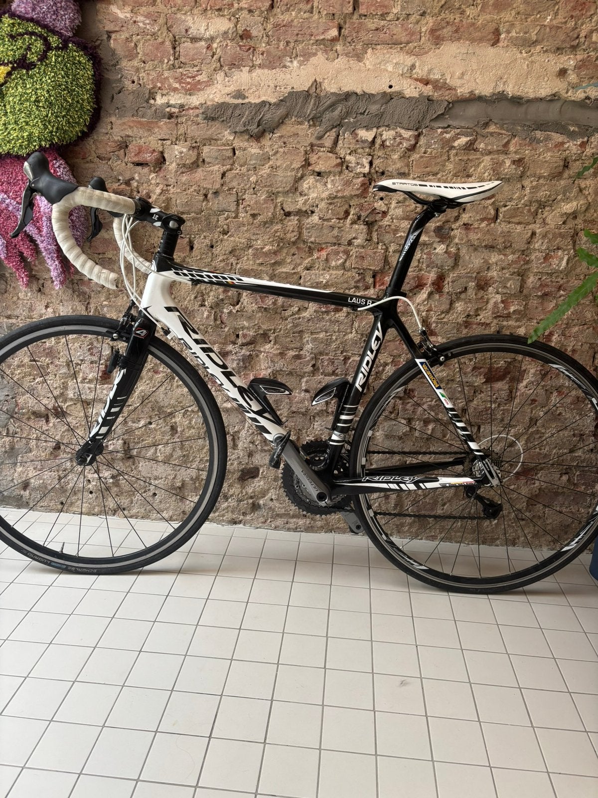 Ripley carbon koersfiets maat 52, Fietsen en Brommers, Ophalen, Gebruikt, Meer dan 20 versnellingen, Overige merken
