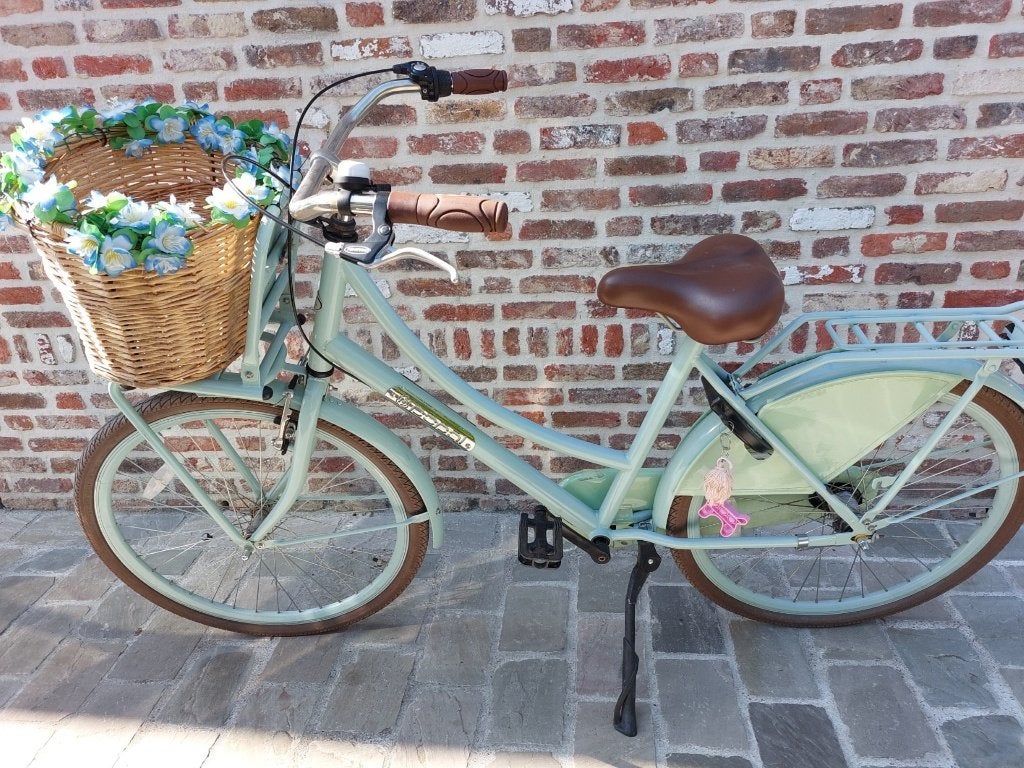 26 inch meisjesfiets te koop, Vélos & Vélomoteurs, Vélos | Filles, Vitesses, Enlèvement, Utilisé, Popal