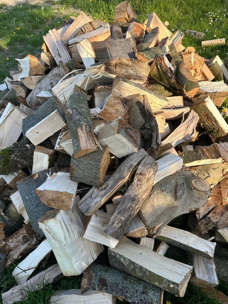 Brandhout beuk/linde, 6 m³ of meer, Ophalen, Beukenhout, Blokken