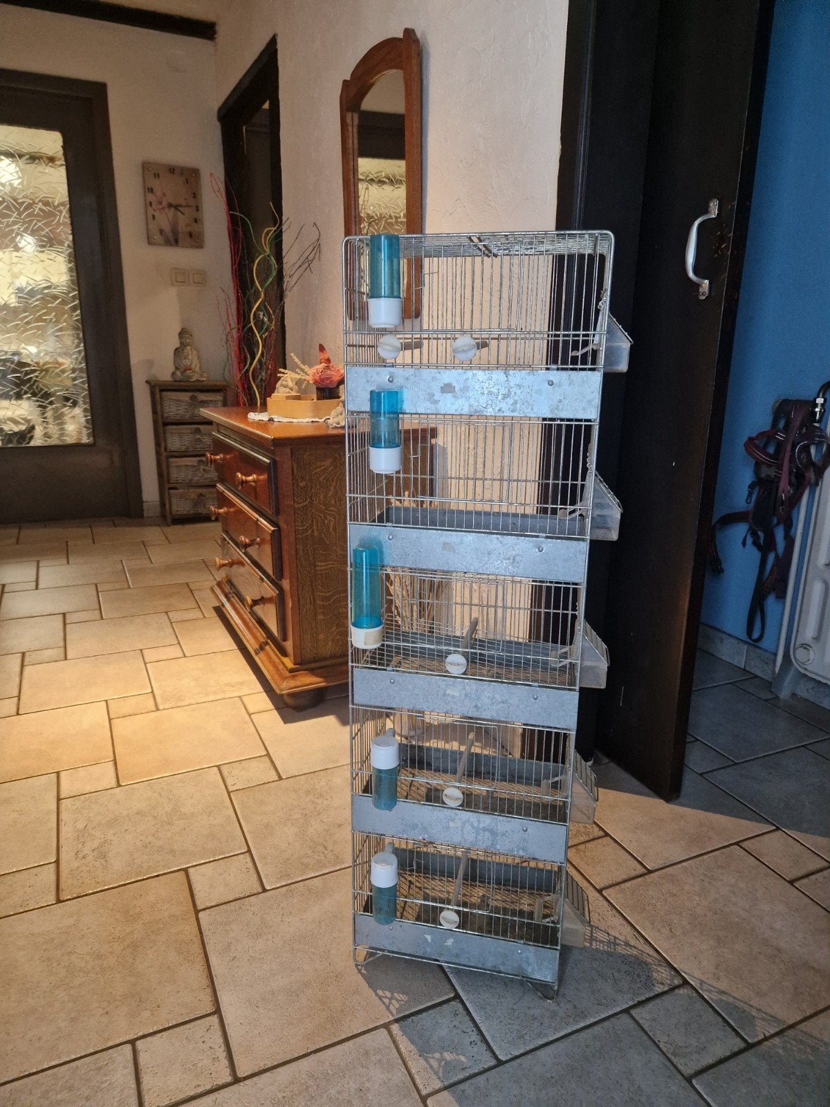2 cage elevage, Enlèvement