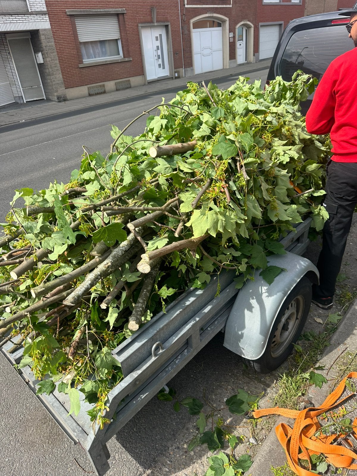 Élagage - abattage d’arbre - jardinage, Enlèvement