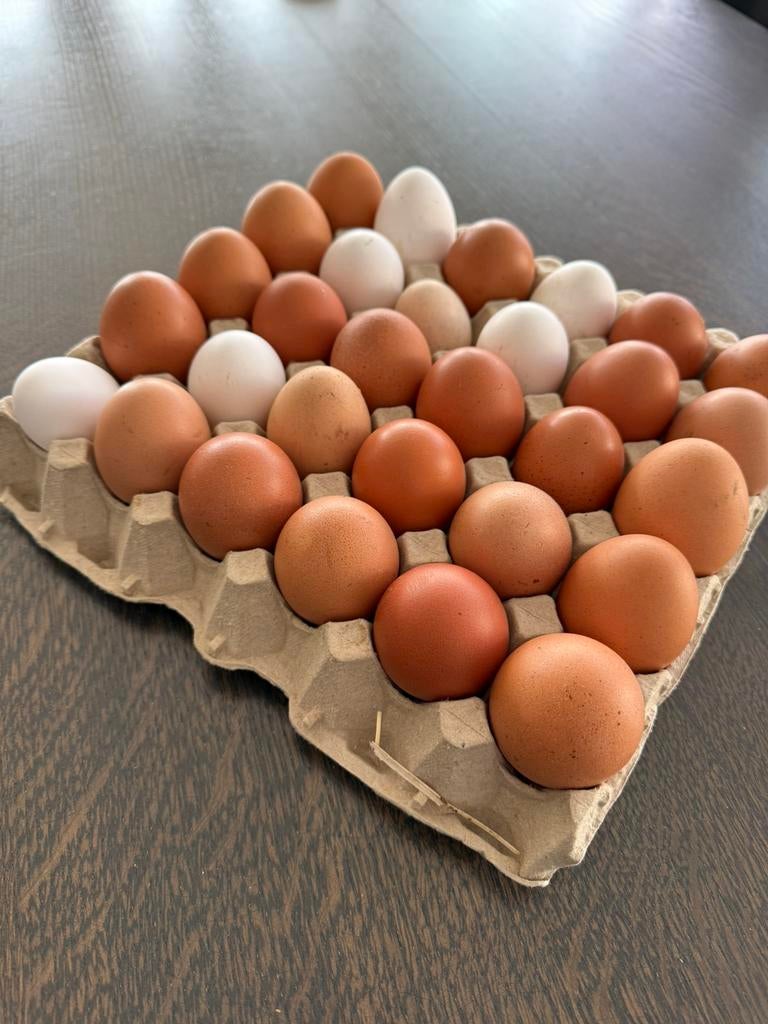 Kakelverse eitjes, Diversen, Ophalen