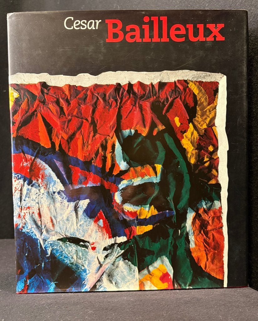 Monographie CESAR BAILLEUX 1996 néerlandais/FR, Peinture et dessin, Enlèvement ou Envoi, Comme neuf, Marcel van Jole