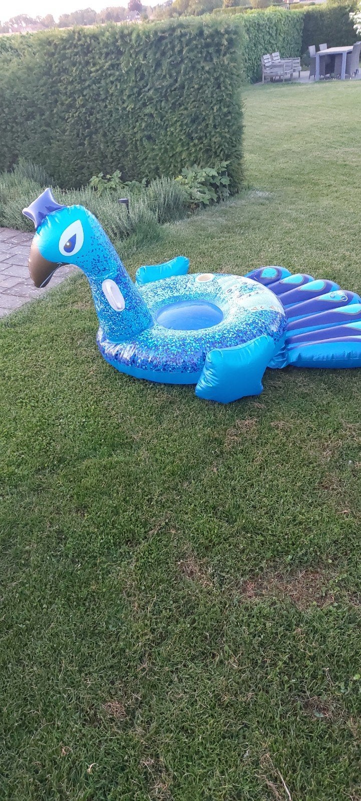 Zwembad matras, Kinderen en Baby's, Ophalen