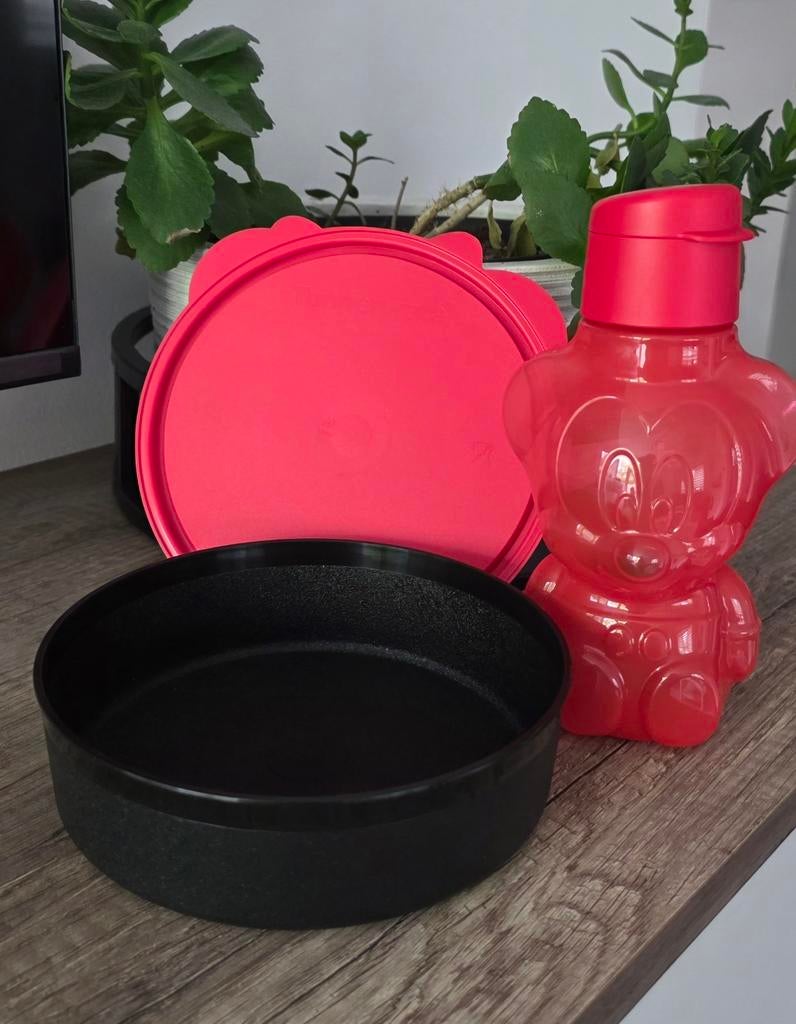 Tupperware boterhamdoos +fles micky 20euro !, Ophalen of Verzenden