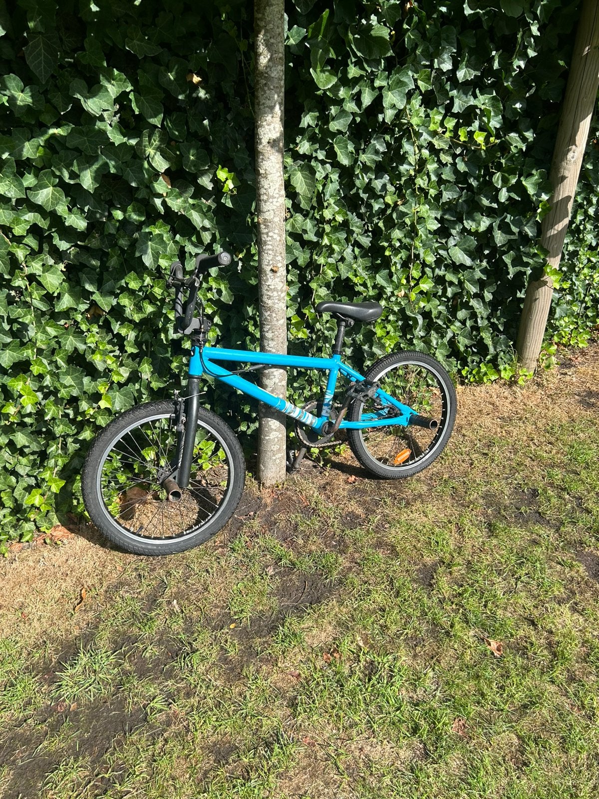 Blauwe Btwin BMX met stuntpegs, Enlèvement, Utilisé, Acier, 16 à 20 pouces
