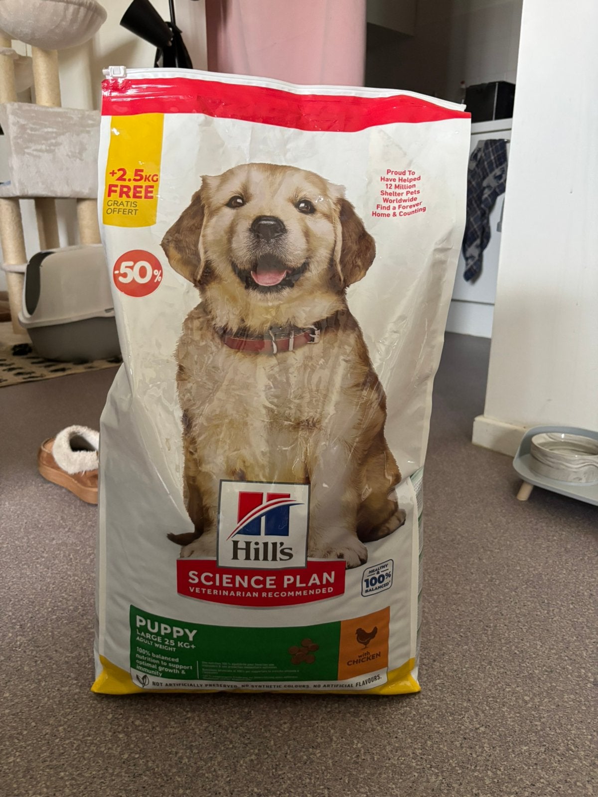 Puppy brokken, Ophalen, Hond