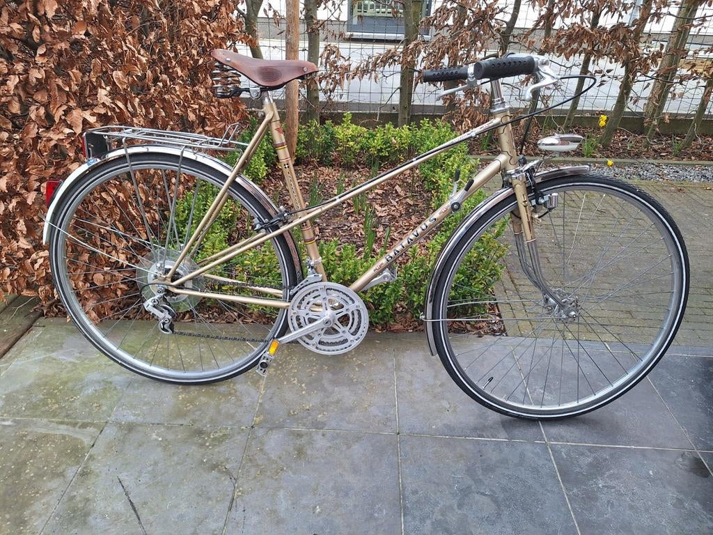 Batavus Sprint Intercycle 1981, Fietsen en Brommers, Fietsen | Dames | Damesfietsen, Batavus, Ophalen