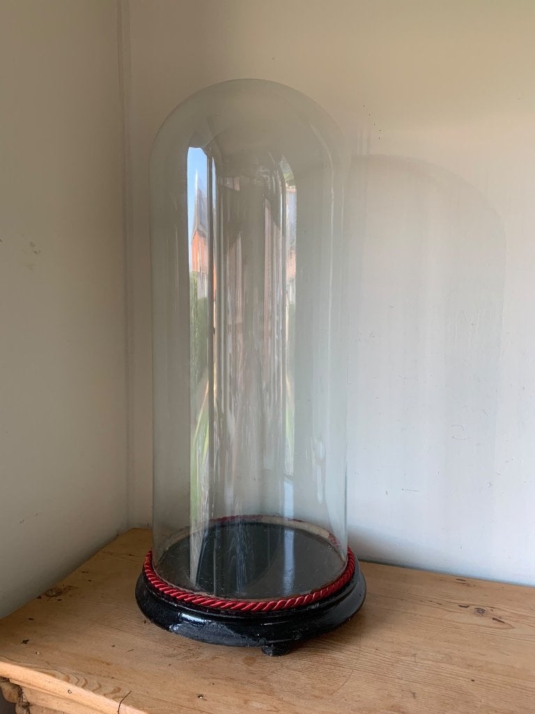 Antieke stolp op houten onderbord, Huis en Inrichting, Glas, Ophalen, Gebruikt, Met voet
