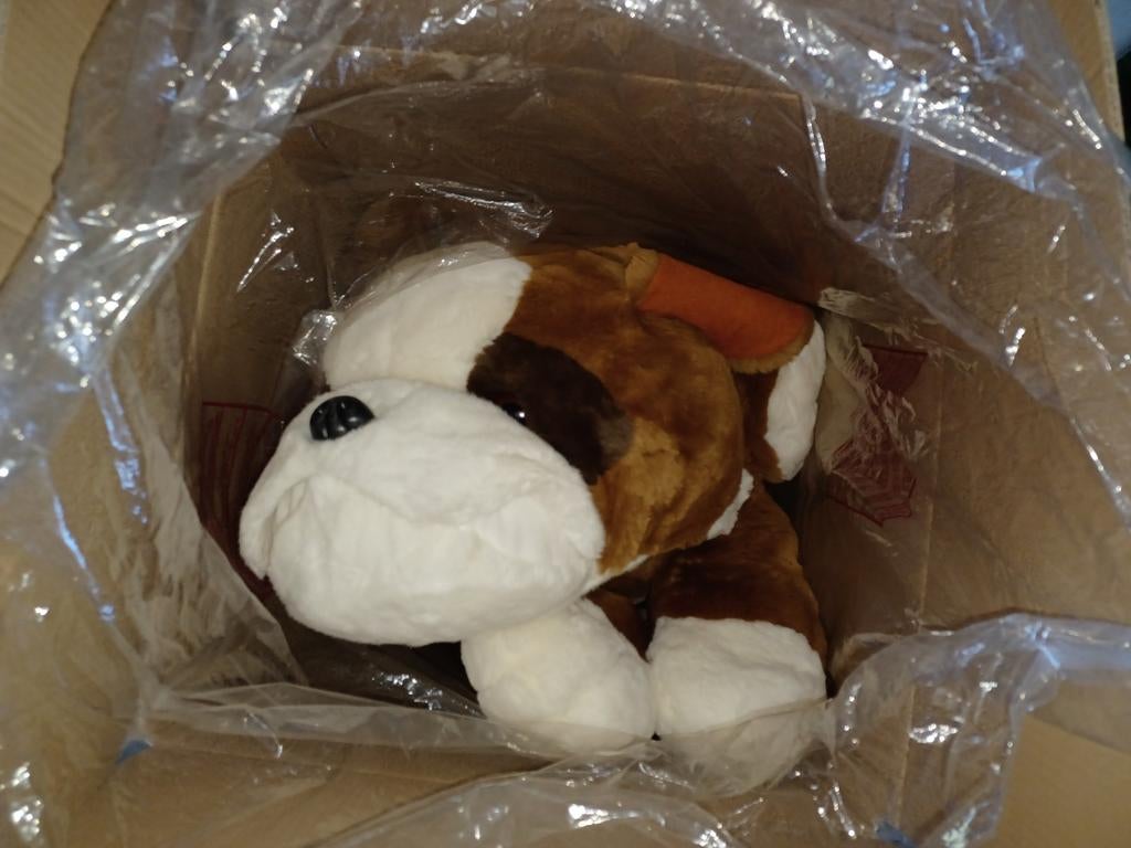 Twee grote knuffels (hond en aap) gratis op te halen, Ophalen, Hond, Zo goed als nieuw, Meerkleurig