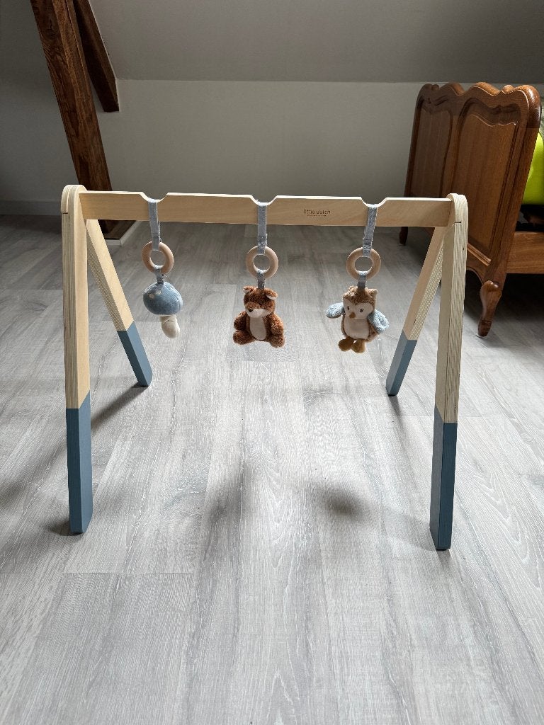 Babygym van Little Dutch, Kinderen en Baby's, Ophalen, Nieuw, Duw- of Trekspeelgoed