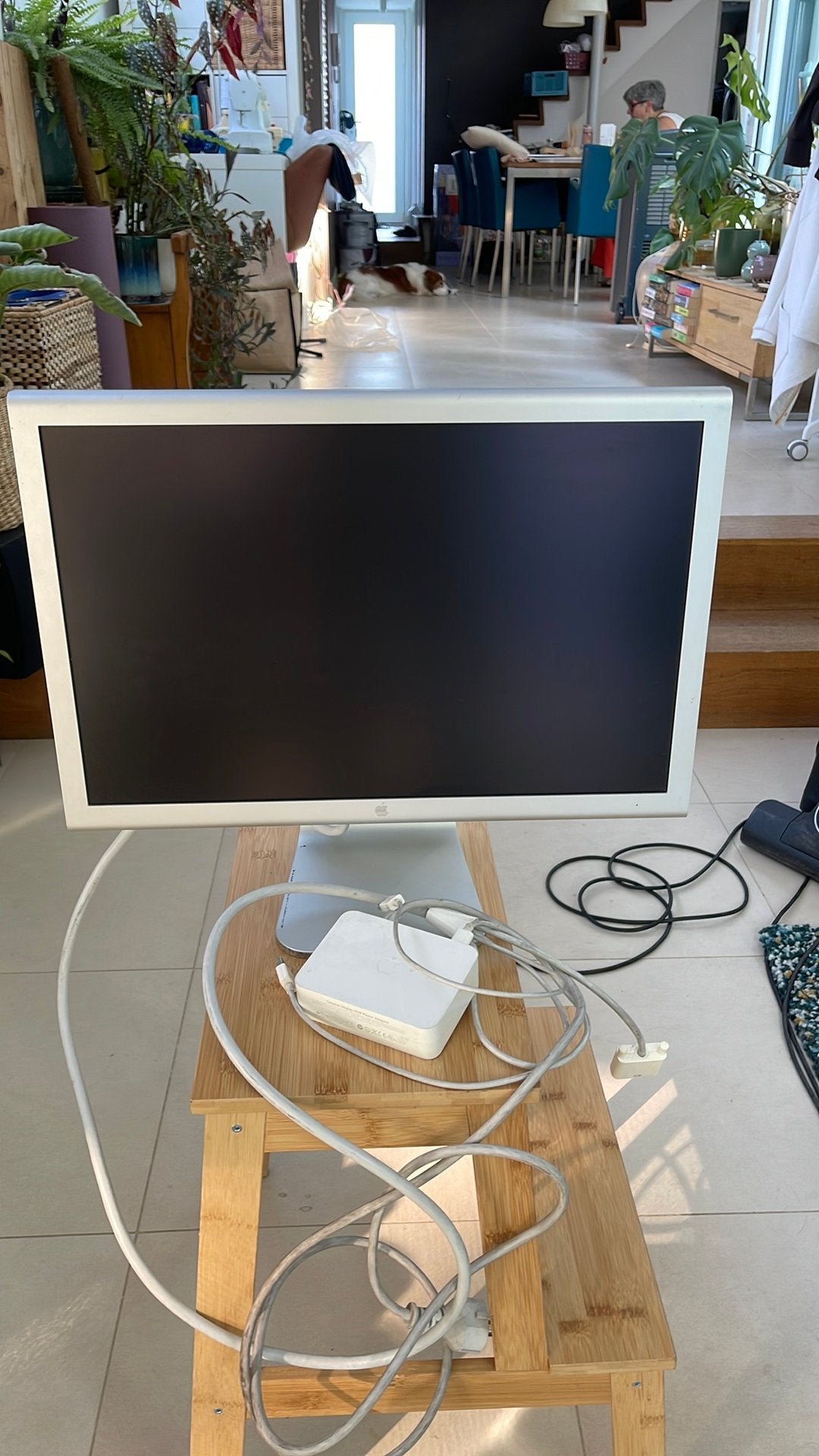 Apple Cinema display, Informatique & Logiciels, Enlèvement, Utilisé