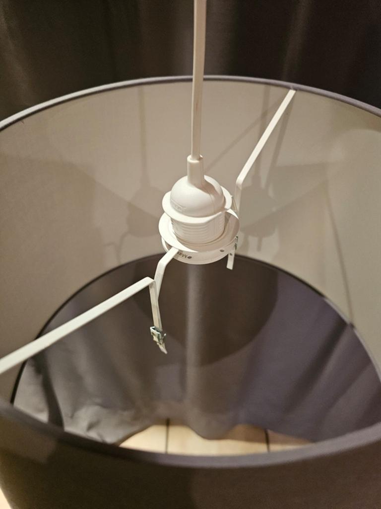 Grijze Hang lamp, Enlèvement