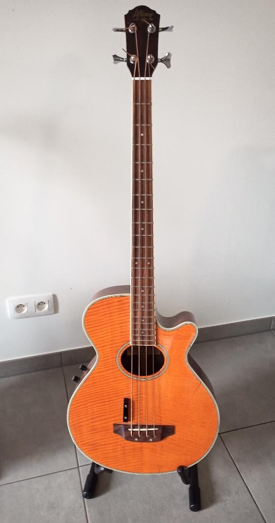 Basgitaar semi akoestisch Alliance vp-800B-TMA, Muziek en Instrumenten, Ophalen, Gebruikt, Semi-akoestisch