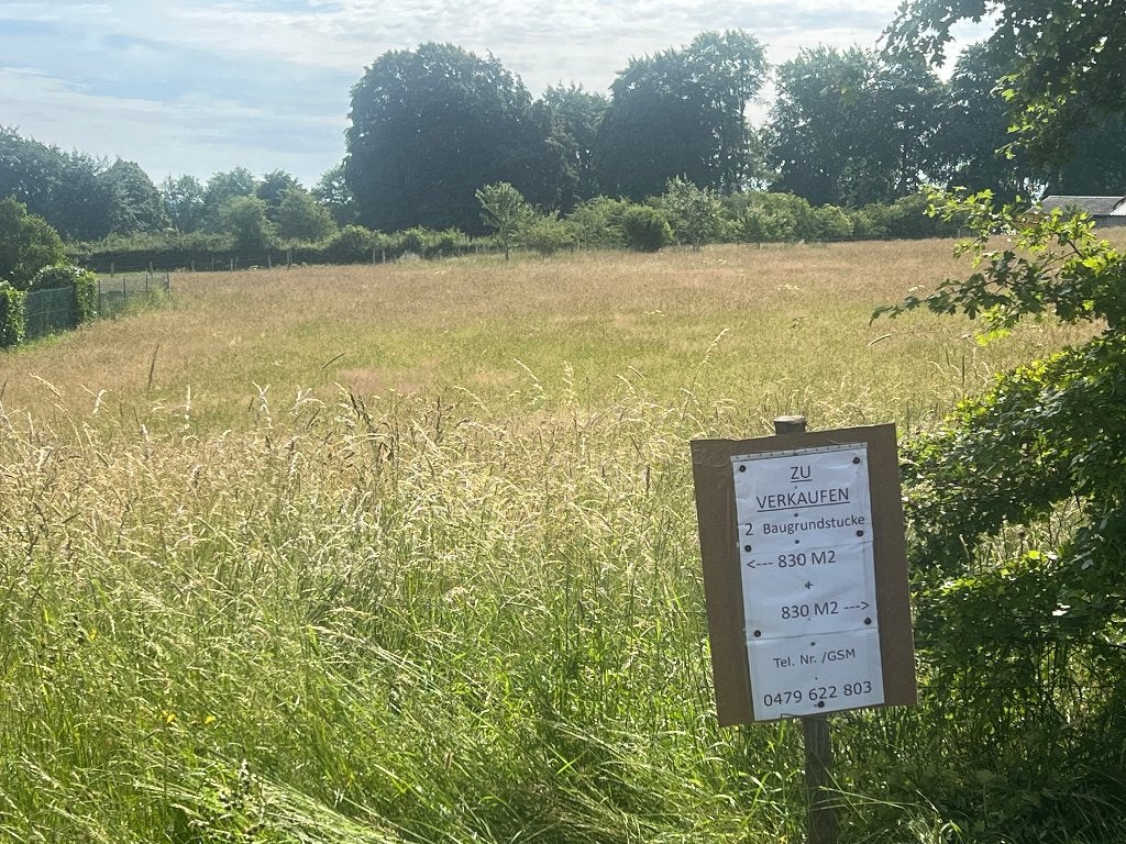 2 bouwgronden in Elsenborn, Immo, Gronden en Bouwgronden, Elsenborn, 500 tot 1000 m²