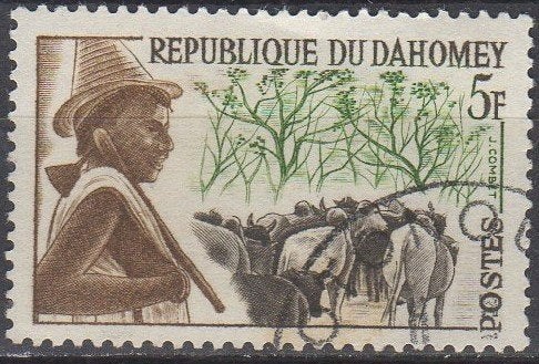 Dahomey - Peuhl-herder met kudde vee - 1963, Ophalen of Verzenden, Gestempeld