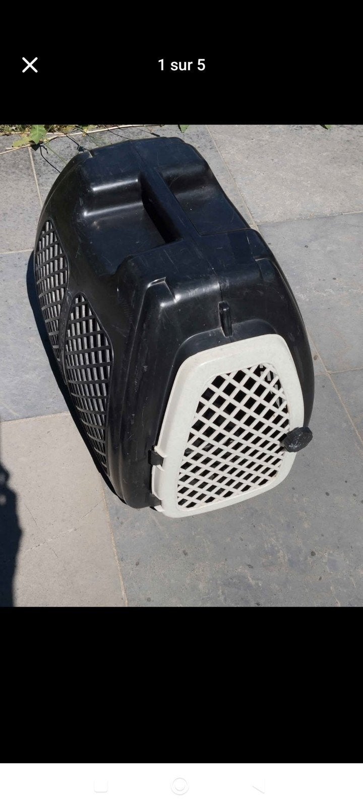 cage de transport pour chat, Enlèvement
