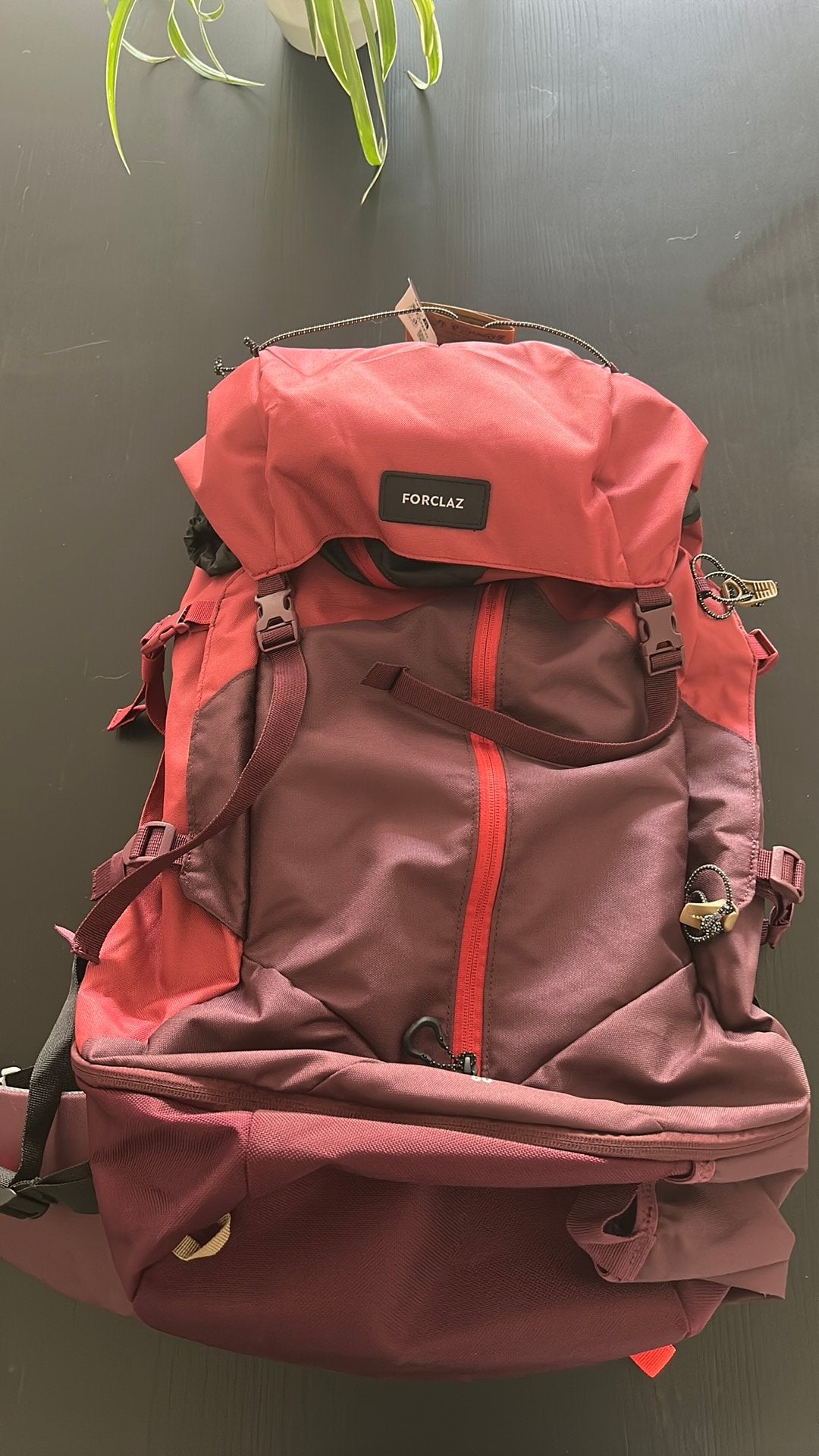 Forclaz trekkingsrugzak 50l dames, Ophalen, Nieuw