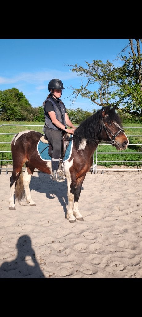 Très belle jument, Vermifugé, Débourré, Poney de récréation, Poney E (1.48 m - 1.57m)