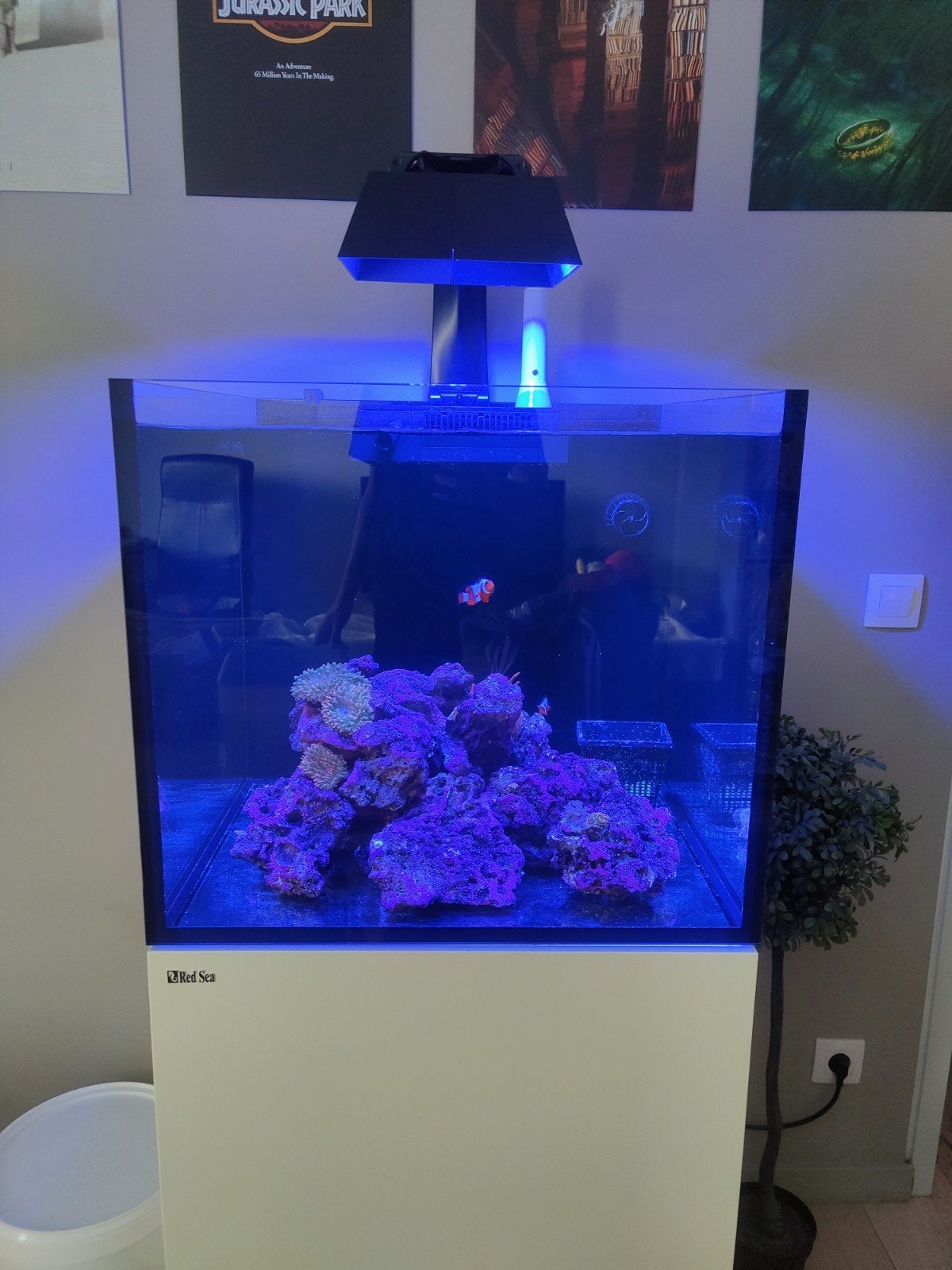 Red Sea Reefer 200 XL G2 complet – Radion XR15 G6, Animaux & Accessoires, Enlèvement, Pompe, Eheim