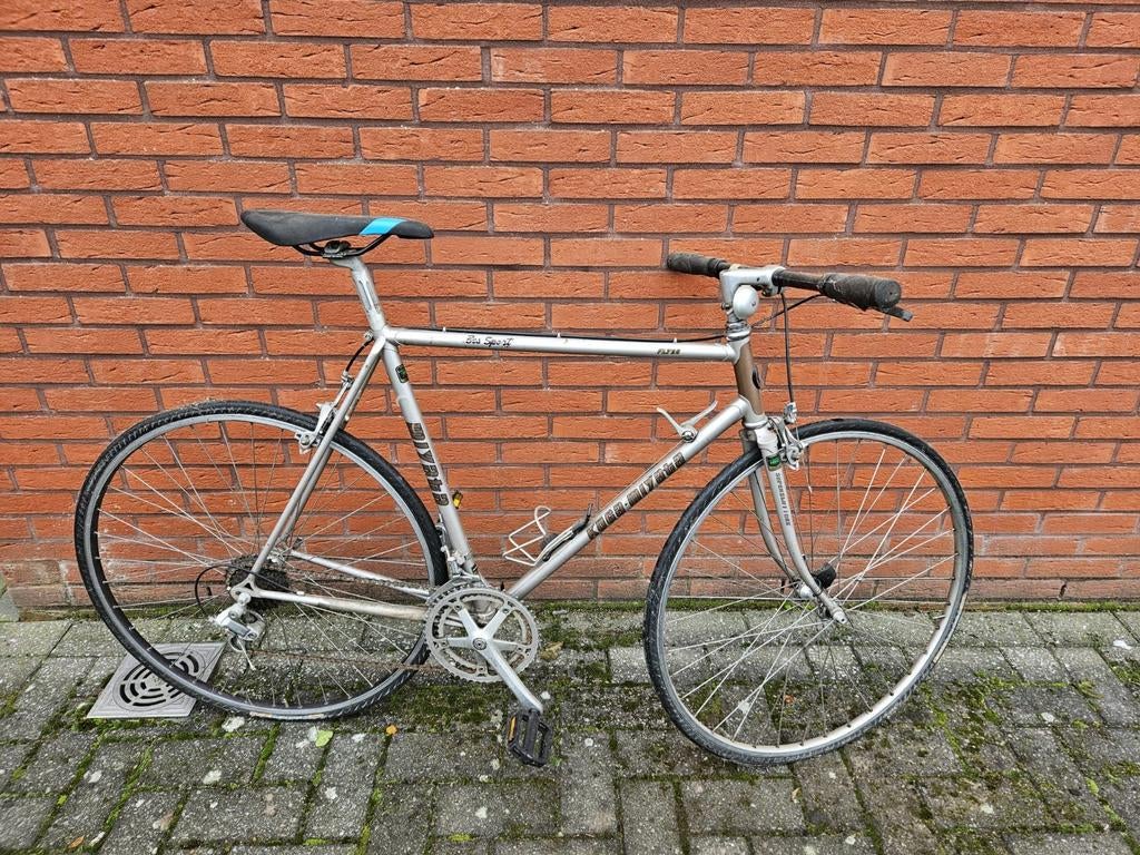 Sportieve herenfiets Koga-Miyata (grijs), Fietsen en Brommers, Fietsen | Heren | Sportfietsen en Toerfietsen, Ophalen