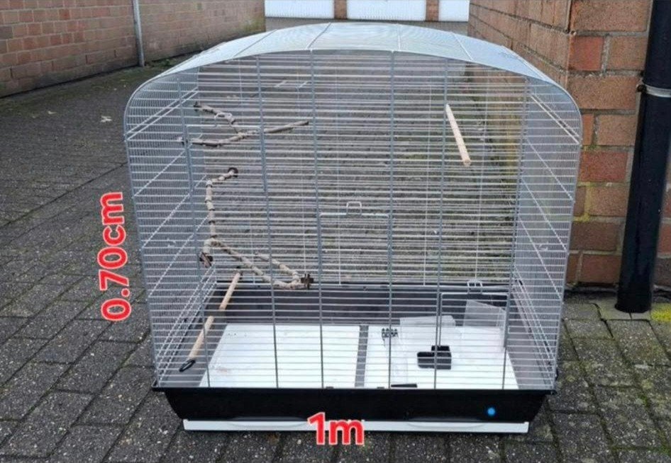 2 cages, Enlèvement