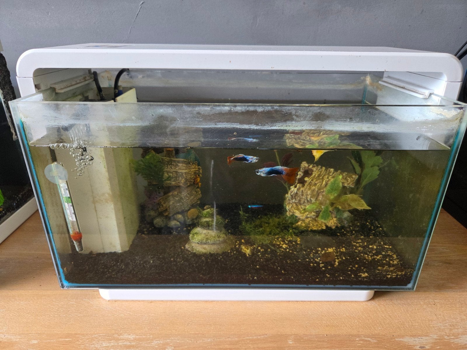 2 aquariums, Ophalen, Verwarming, Filter, Superfish