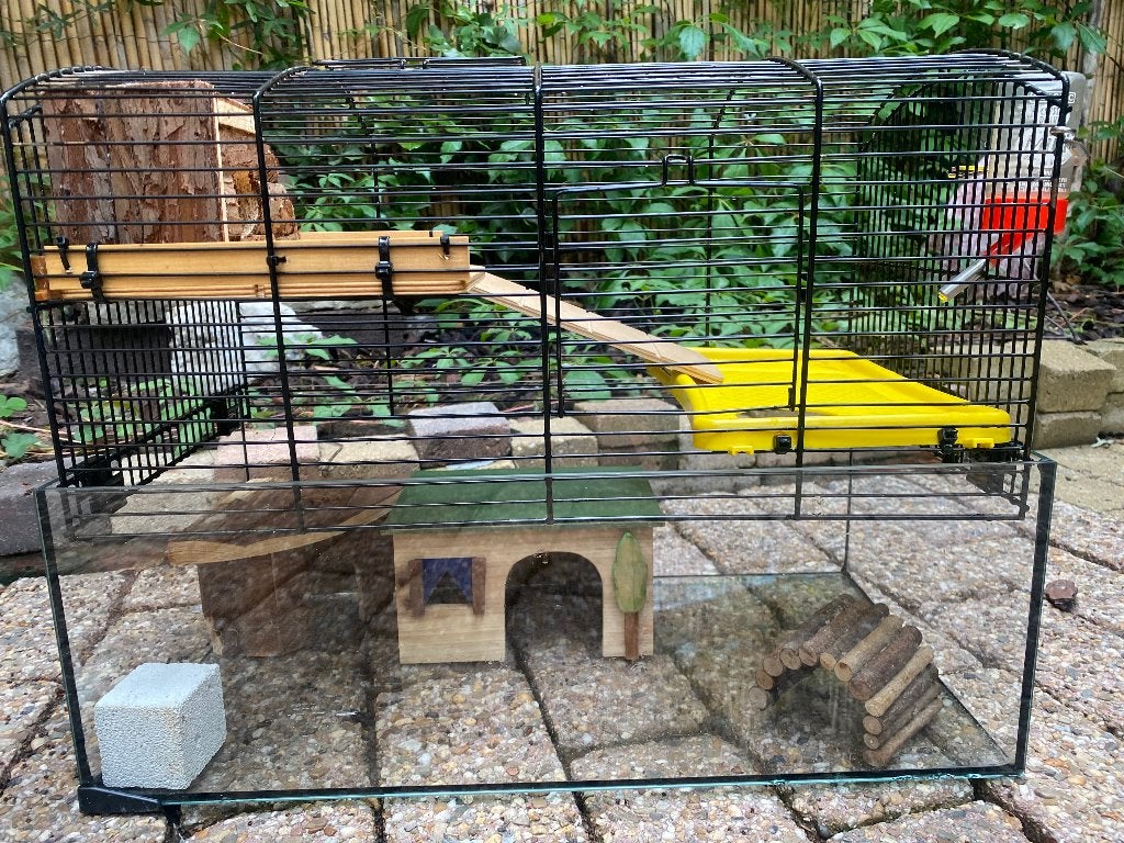 Hamster kooi met glas, Kooi, Minder dan 75 cm, Zo goed als nieuw, Muis