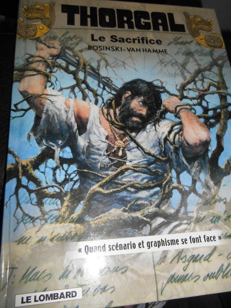Thorgal 29 BIS eo, Livres, Enlèvement ou Envoi