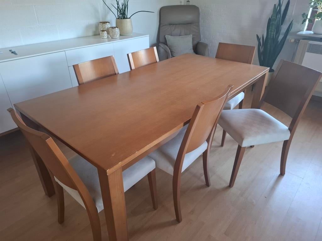 Tafel en stoelen, Huis en Inrichting, Ophalen