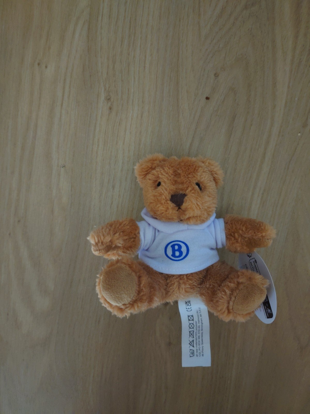 NMBS knuffel beer, Ophalen of Verzenden