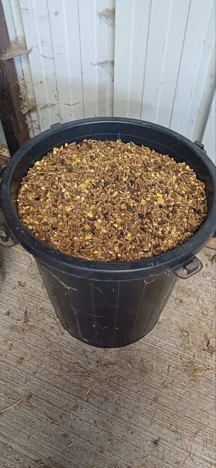 breedingmix equilannoo, Dieren en Toebehoren, Ophalen, Overige soorten