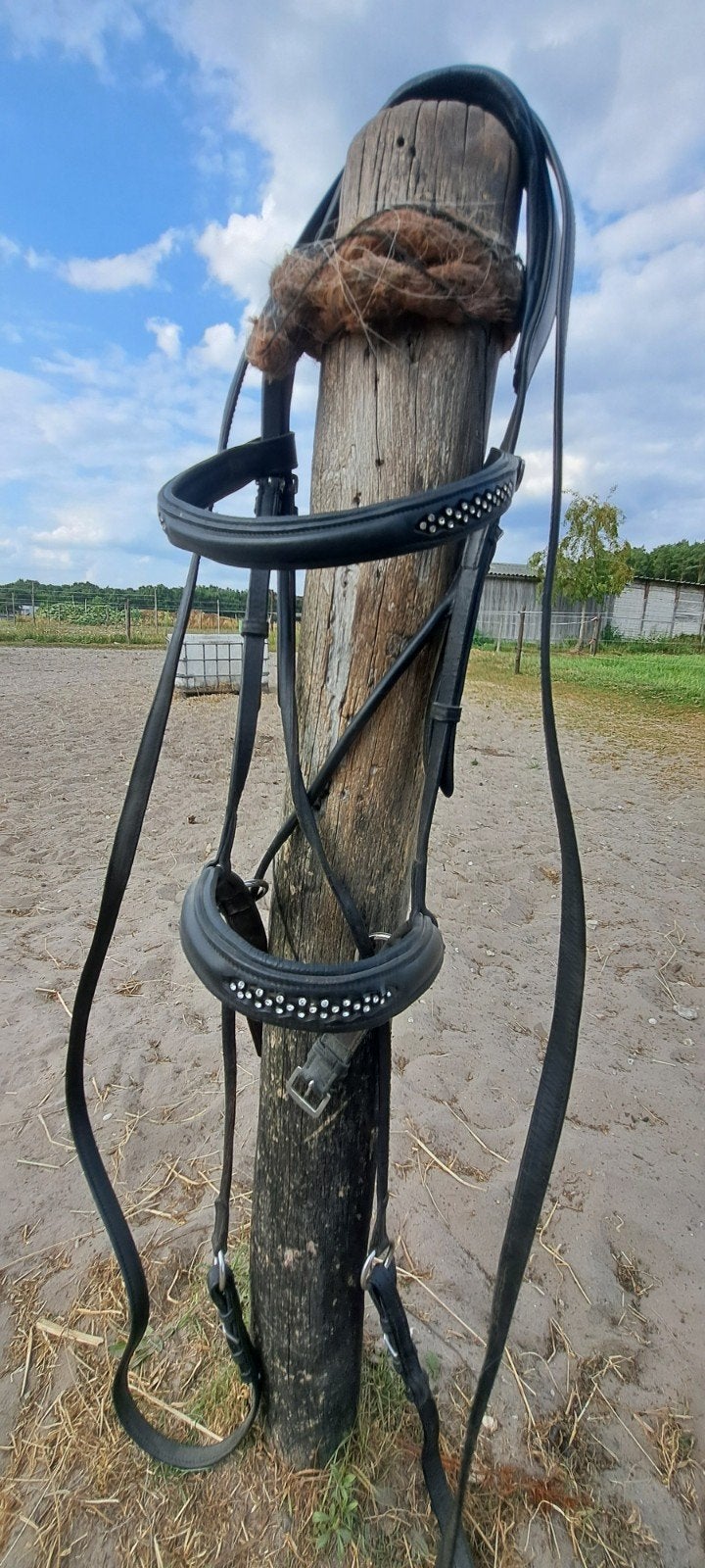 gekruiste Bitloos hoofdstel Barefoot, Dieren en Toebehoren, Paarden en Pony's | Hoofdstellen en Tuigage, Ophalen, Overige disciplines