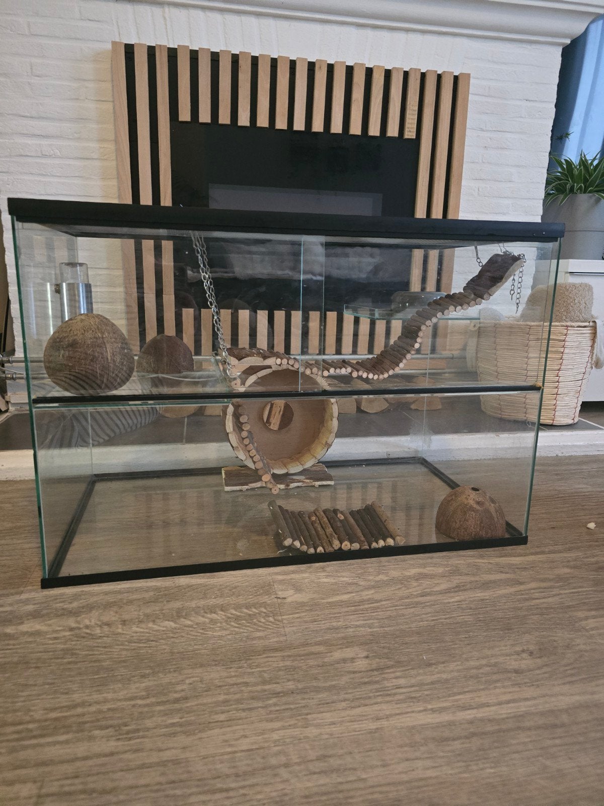 Titel Hamsterterrarium 73,5x40x50 cm incl. accessoires, Dieren en Toebehoren, Ophalen, Hamster