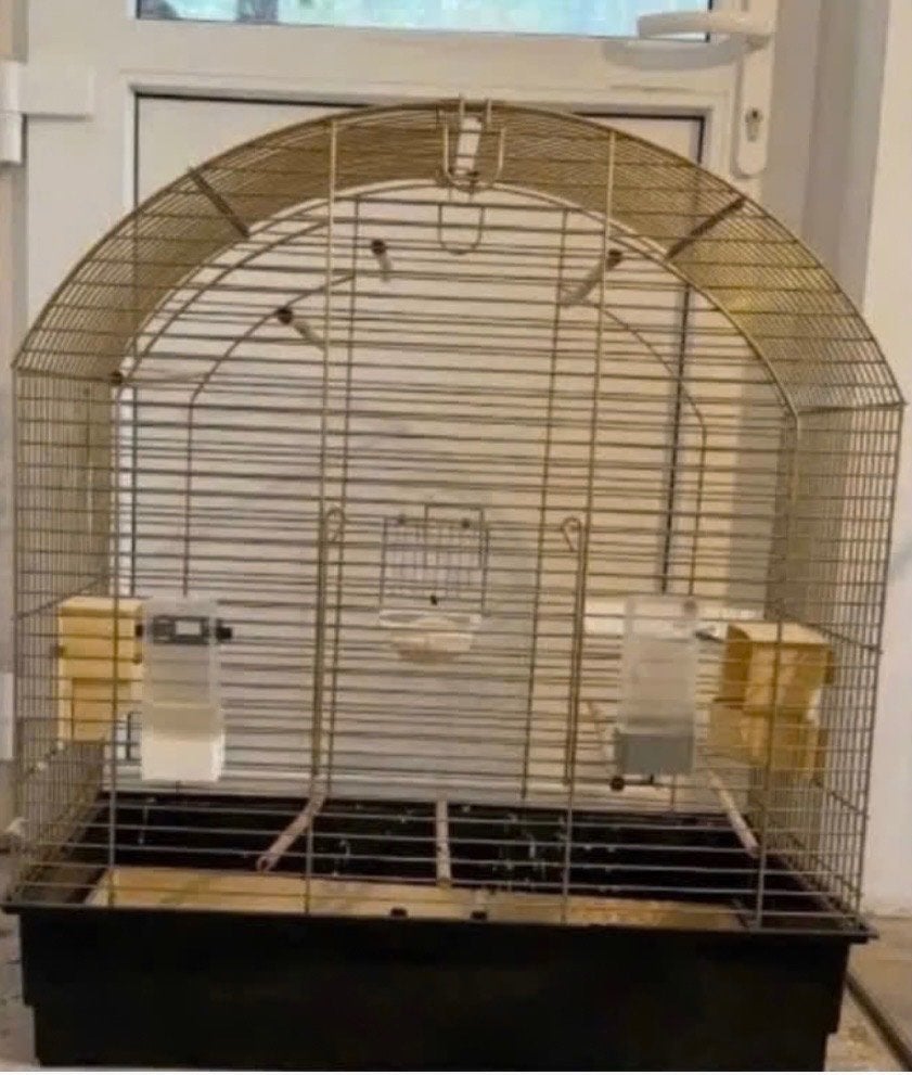 Vogelkooi, Dieren en Toebehoren, Ophalen, Vogelkooi