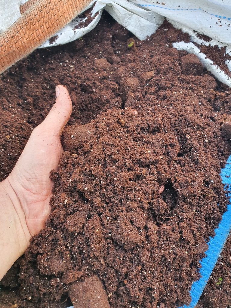 potgrond in bagbag 1m3, Ophalen of Verzenden, Potgrond