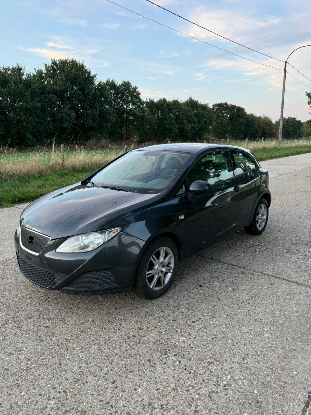 SEAT IBIZA 1.4 TDI 2010 OVERNAMEWAGEN EXPORT OF ZO MEENEMEN, Autos, Argent ou Gris, Achat, Entreprise, Boîte manuelle
