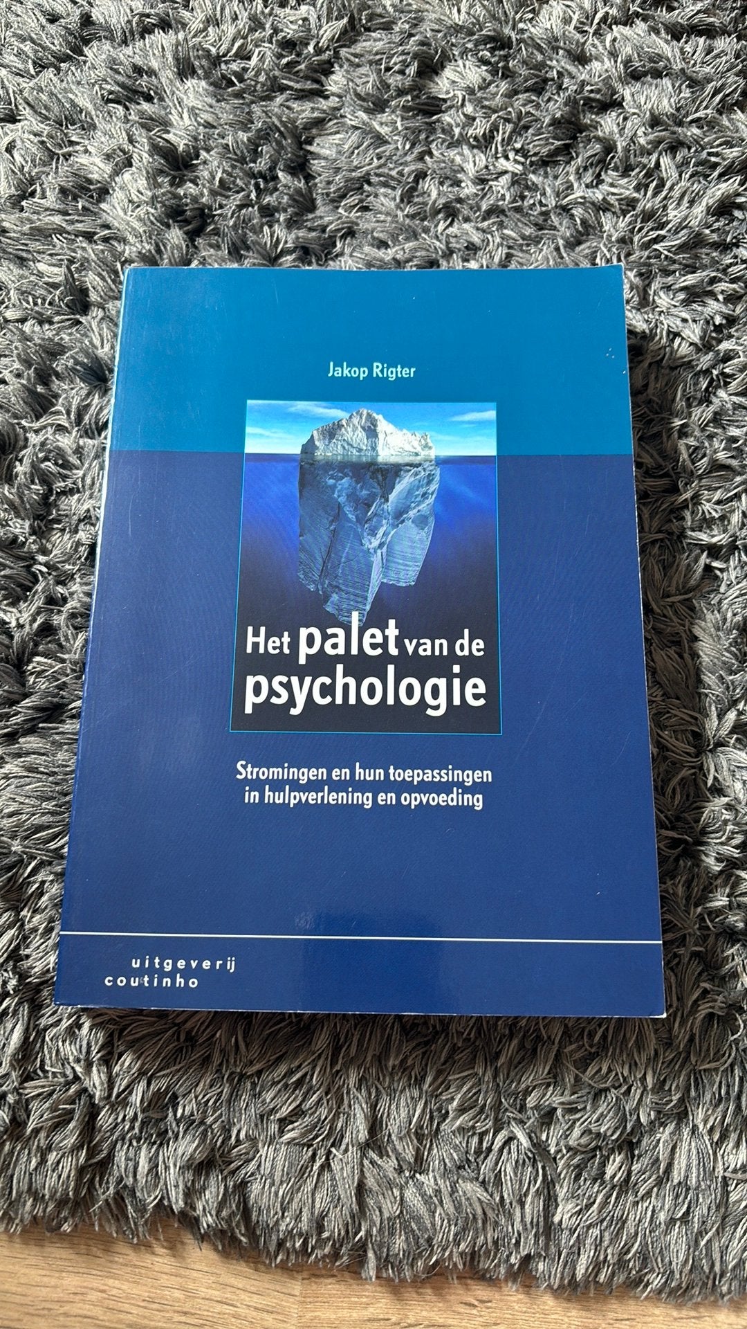 Jakop Rigter - Het palet van de psychologie, Livres, Psychologie, Enlèvement ou Envoi, Comme neuf, Jakop Rigter, Psychologie cognitive
