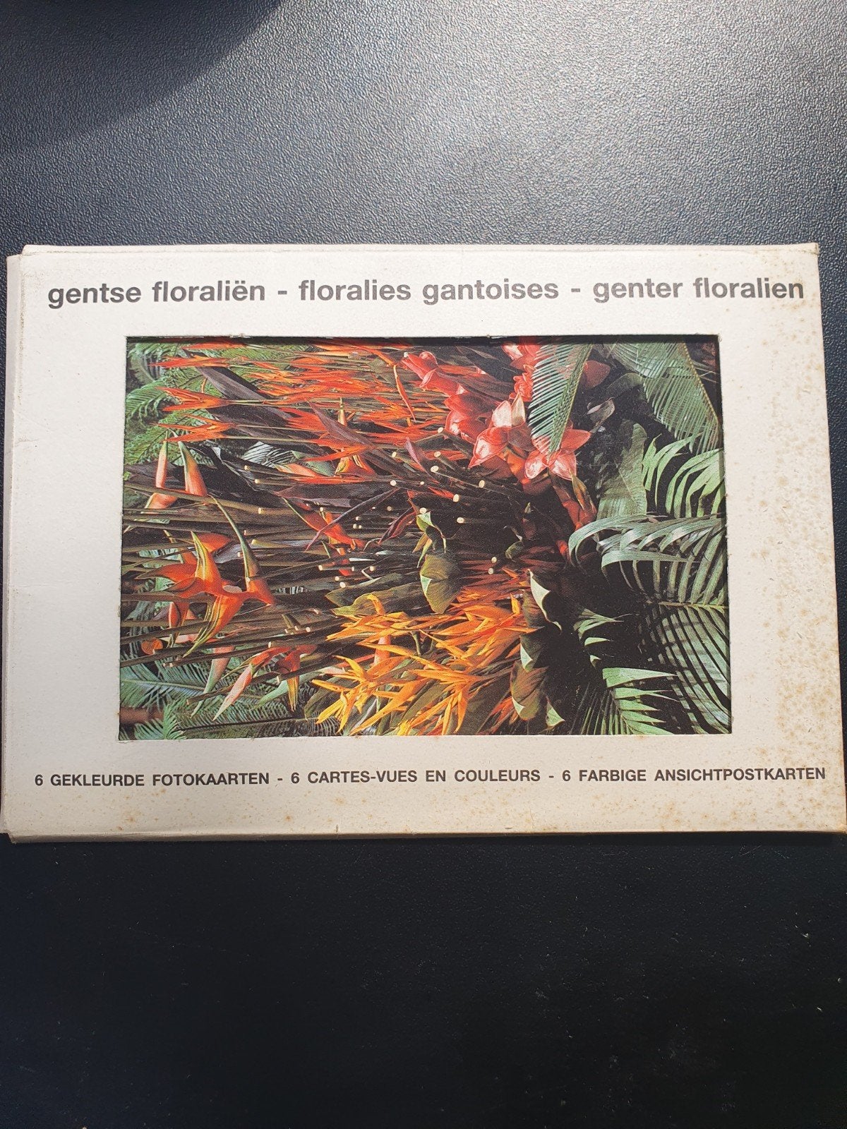 6 gekleurde fotokaarten Gentse Floraliën, Verzamelen, Ophalen