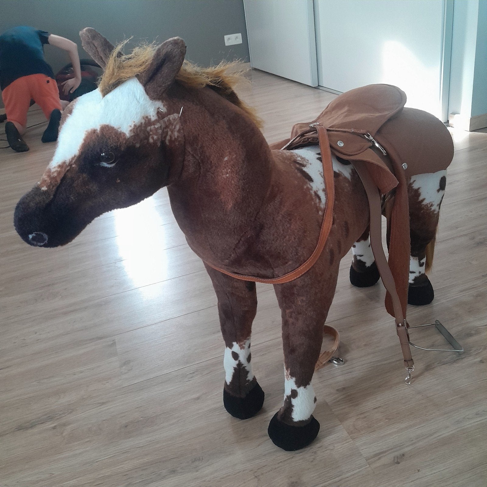 Paard, Ophalen, Paard